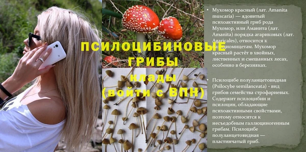 соль ск Белоозёрский