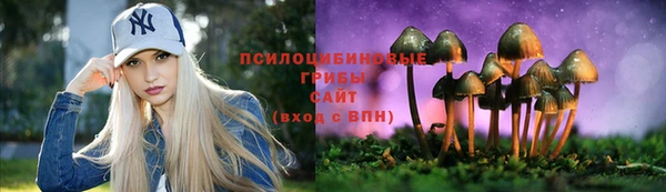 тгк Беломорск