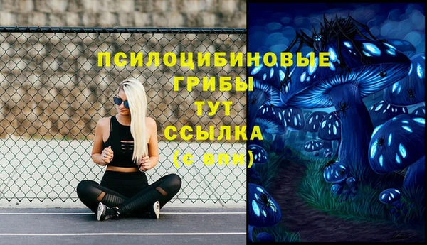 мдма Белокуриха